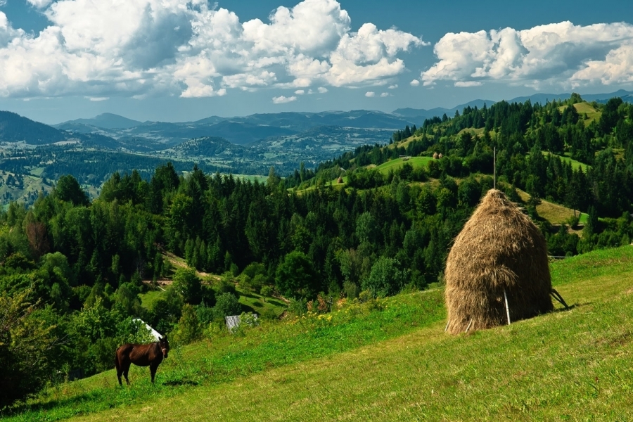 Dragos Anastasiu, Eurolines: Principala buba a turismului romanesc este promovarea